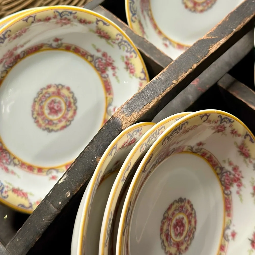 10 Astra Berry Bowls by Theodore Haviland from either Limoges France or Bavaria